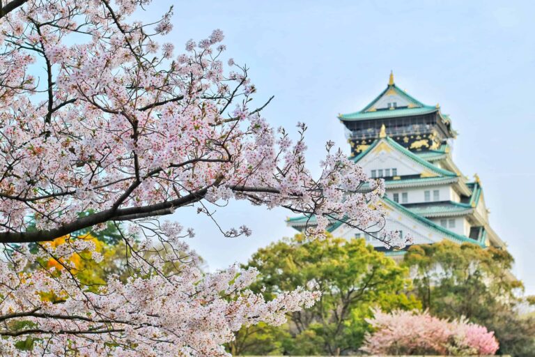 Gst Japanese Osaka Castle